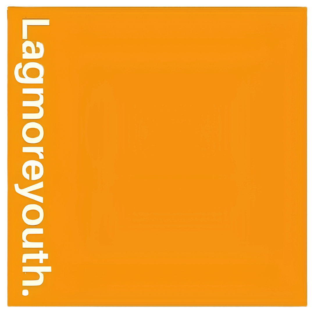 lagmore youth organisation logo